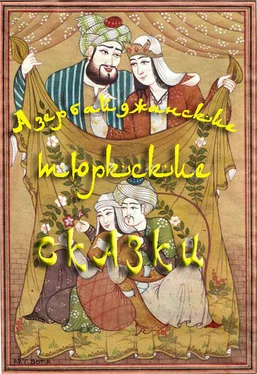 Array Народное творчество (Фольклор) Азербайджанские тюркские сказки обложка книги