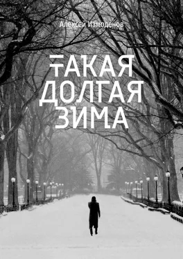 Алексей Измоденов Такая долгая зима обложка книги