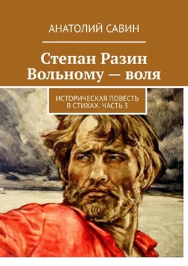 Анатолий Савин Степан Разин. Вольному – воля. Историческая повесть в стихах. Часть 3 обложка книги