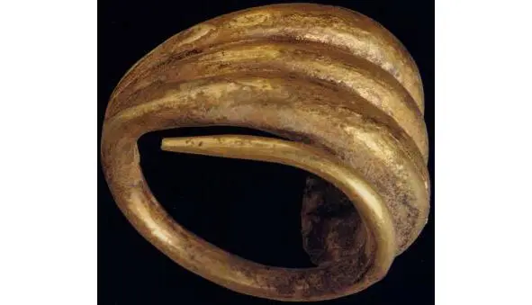 pic16 Lobular rings from the Treasure of Priam Pushkin Museum Moscow A - фото 17