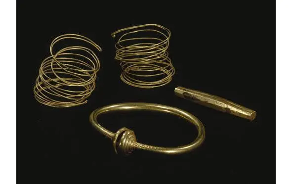pic19 Sacrificial contribution includes two spiral rings on the hand an open - фото 21
