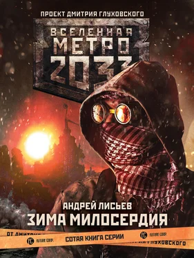 Андрей Лисьев Метро 2033: Зима милосердия обложка книги