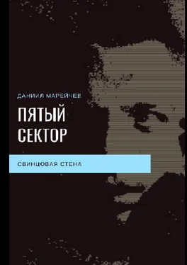 Даниил Марейчев ПЯТЫЙ СЕКТОР. Свинцовая стена обложка книги