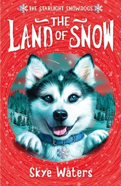 Skye Waters The Land of Snow обложка книги