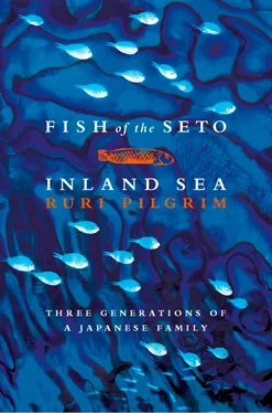 Ruri Pilgrim Fish of the Seto Inland Sea обложка книги