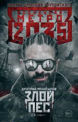 Дмитрий Манасыпов - Метро 2035 - Злой пес