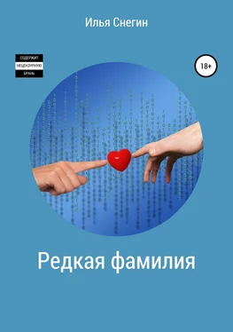 Илья Снегин Редкая фамилия обложка книги
