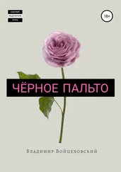 Владимир Смирнов - Чёрное пальто. Сборник стихотворений. Цикл первый
