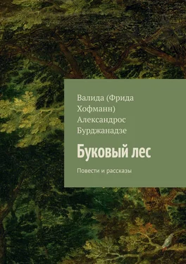 Александрос Бурджанадзе Буковый лес. Повести и рассказы обложка книги