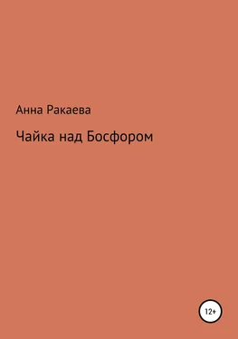 Анна Ракаева Чайка над Босфором обложка книги