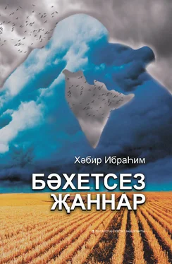 Хәбир Ибраһим Бәхетсез җаннар обложка книги