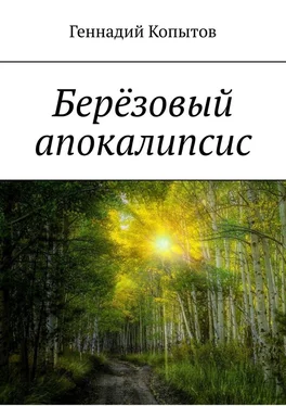 Геннадий Копытов Берёзовый апокалипсис обложка книги