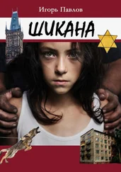 Игорь Павлов - Шикана