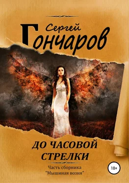 Сергей Гончаров До часовой стрелки обложка книги