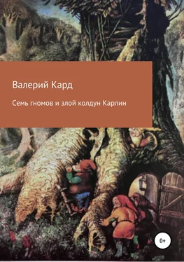 Валерий Каргин Семь гномов и злой колдун Карлин обложка книги