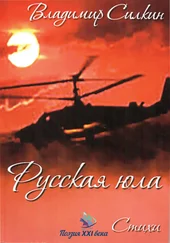 Владимир Силкин - Русская юла