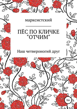 Артём Марксистский Пёс по кличке Отчим обложка книги