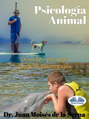 Juan Moisés De La Serna - Psicología Animal