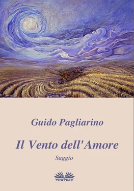 Guido Pagliarino Il Vento Dell'Amore обложка книги