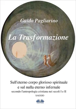 Guido Pagliarino La Trasformazione: Sull'Eterno Corpo Glorioso Spirituale E Sul Nulla Eterno Infernale обложка книги