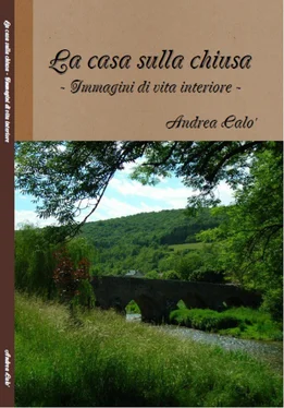 Andrea Calo' La Casa Sulla Chiusa обложка книги