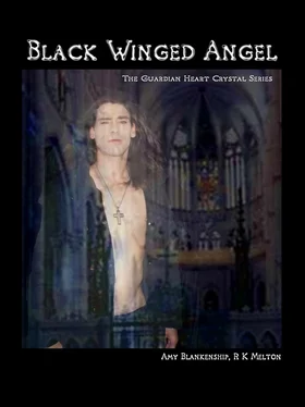 Amy Blankenship Black Winged Angel обложка книги