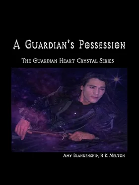 Amy Blankenship A Guardian's Possession обложка книги