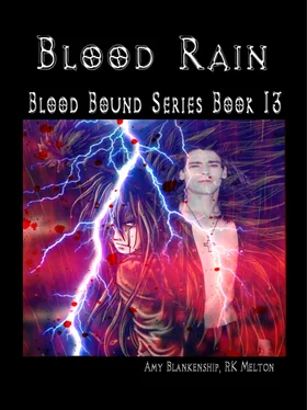 Amy Blankenship Blood Rain обложка книги