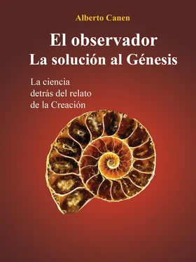 Alberto Canen El Observador. La Solución Al Génesis обложка книги