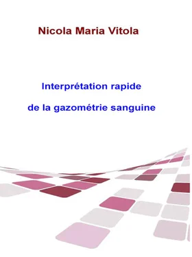 Oreste Maria Petrillo Interprétation Rapide De La Gazométrie Sanguine обложка книги