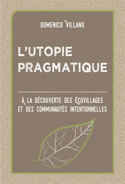 Domenico Villano L’utopie Pragmatique обложка книги