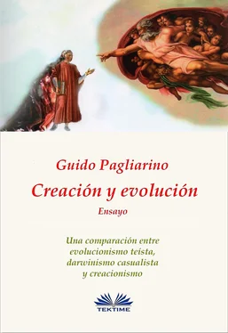 Guido Pagliarino Creación Y Evolución обложка книги