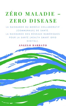 Angelo Barbato Zero Maladie обложка книги