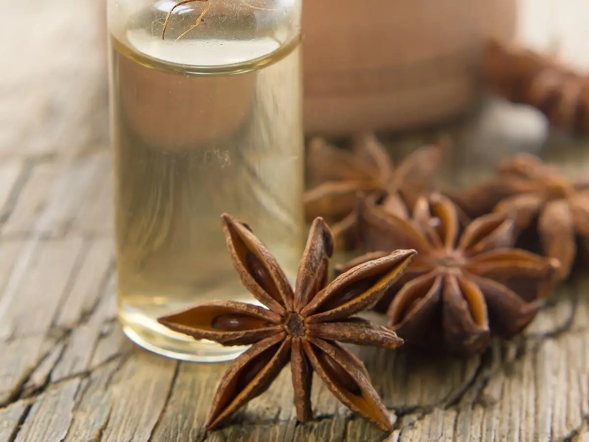 22 Lâuso dellâolio di anice in cosmetica Come prodotto vegetale à usato - фото 4