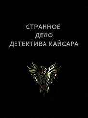 Вадим Астанин - Странное дело детектива Кайсара