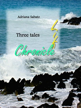 Adriana Sabato Life, Chronicle. обложка книги