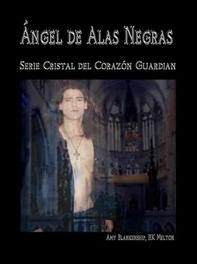 Amy Blankenship Ángel De Alas Negras обложка книги