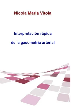 Nicola Maria Vitola Interpretación Rápida De La Gasometría Arterial обложка книги