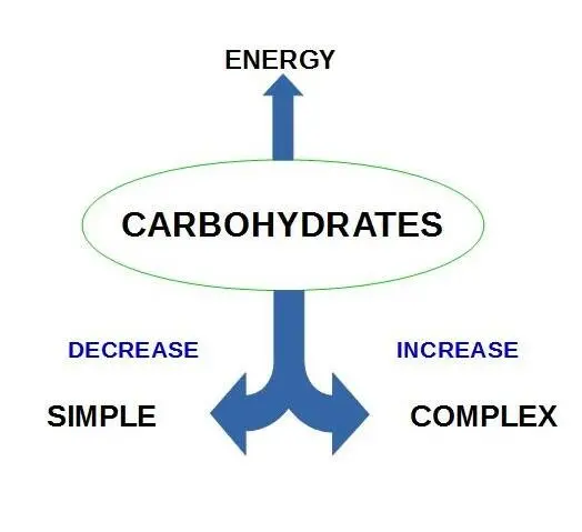 Chapter 3 Protein what are they and what do they do Protein structures - фото 1