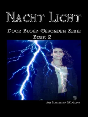 Amy Blankenship Nacht Licht обложка книги