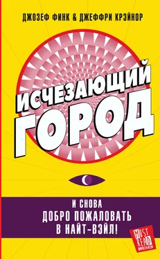 Джозеф Финк Исчезающий город обложка книги