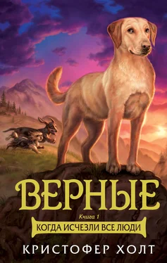 Кристофер Холт Верные. Книга 1. Когда исчезли все люди