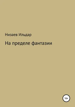 Ильдар Низаев На пределе фантазии обложка книги