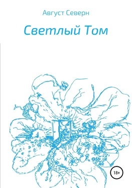 Август Северн Светлый Том обложка книги