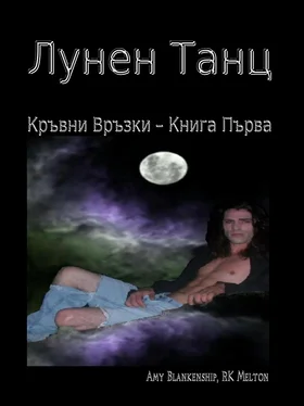 Amy Blankenship Лунен Танц обложка книги