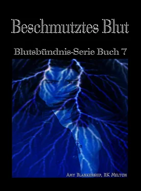 Amy Blankenship Beschmutztes Blut обложка книги