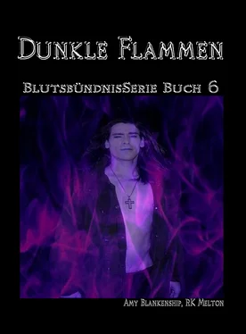 Amy Blankenship Dunkle Flammen обложка книги