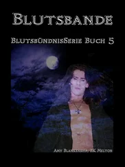 Amy Blankenship - Blutsbande