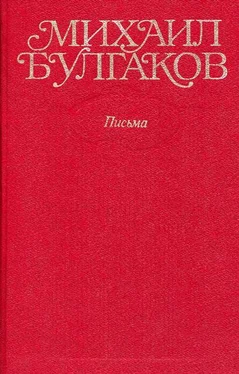 Михаил Булгаков Том 10. Письма, Мой дневник