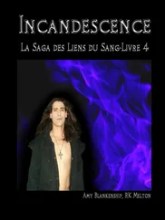 Amy Blankenship - Incandescence